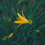 Career Growth Hacks Nobody Told You About