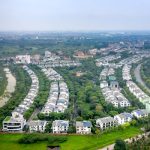 Sustainable Approaches to Home Ecosystem Protection