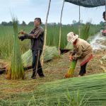 Emerging Comprehensive Trends in Labor and Employment Legal Landscapes