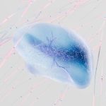 Legal Innovation: Technology's Transformative Role in Modernizing Judicial Systems