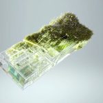 Natural Computing: Bio-Inspired Electronic Systems