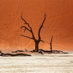 Climate-Adaptive Housing Solutions for Extreme Environments