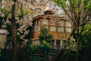 Transcendent Living Environments