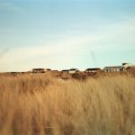 Quantum Residential Environments of Tomorrow