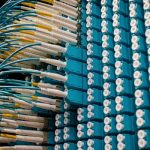 Wave Logic Processors: Quantum Signal Management