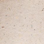 Sustainable Moving Practices for Environmentally Conscious Families