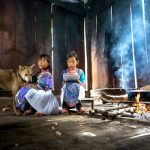 Living Biological Clothing Grows Beyond Traditional Manufacturing