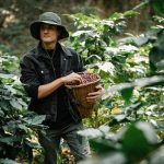 How to Navigate the Evolving Job Market Landscape