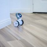 Digital Chauffeurs: AI Personality in Autonomous Cars